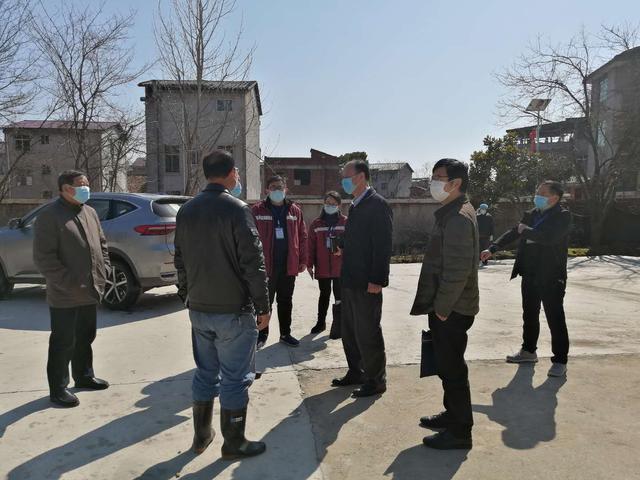 丰城最新疫情概况,背景、事件与影响分析