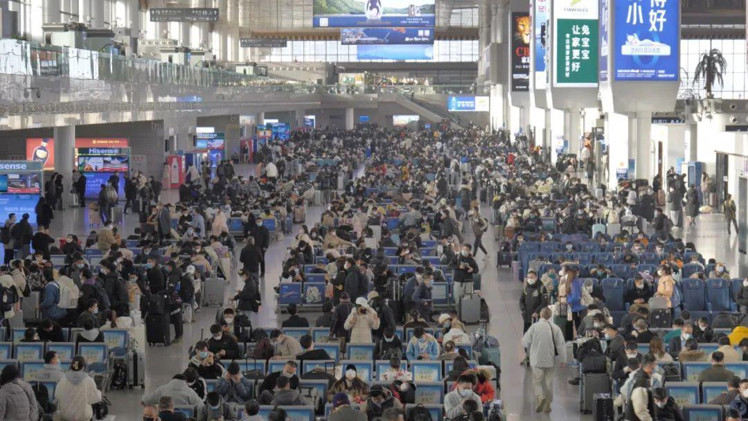 上海返程最新，绿色之旅寻找内心平静之路