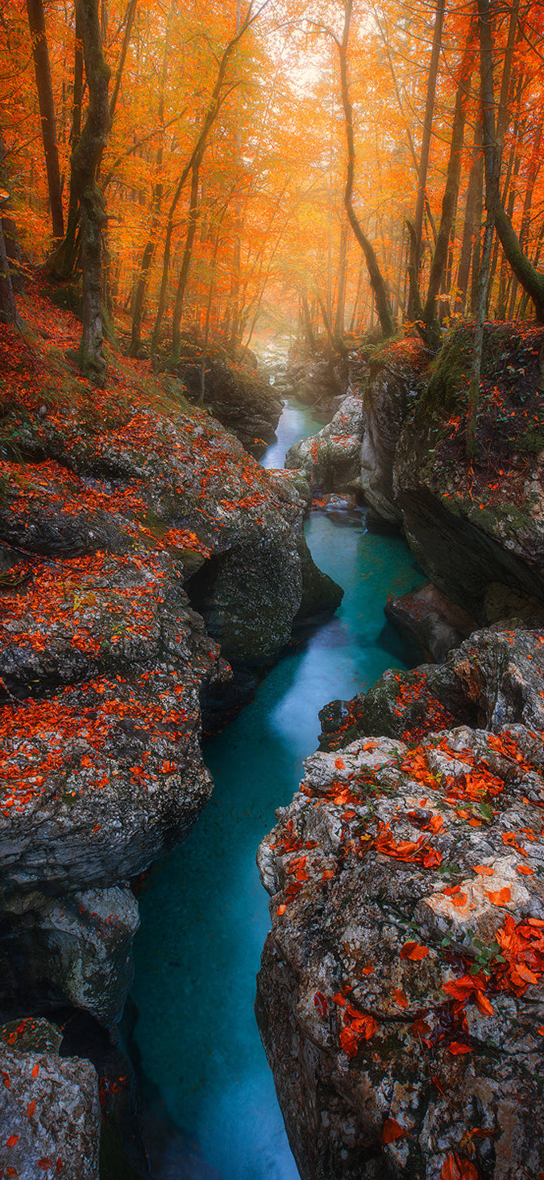 美图最新动态揭秘,小巷中的秘密宝藏探索之旅!