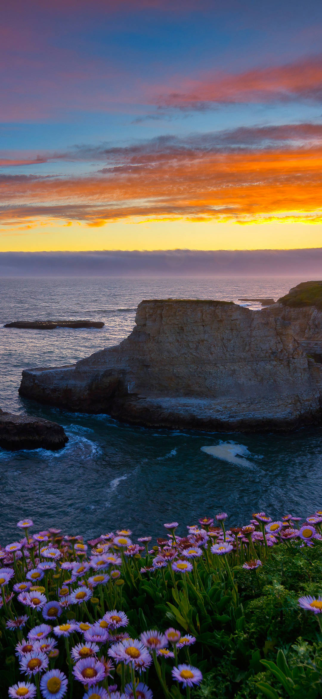 美图最新动态揭秘,小巷中的秘密宝藏探索之旅!