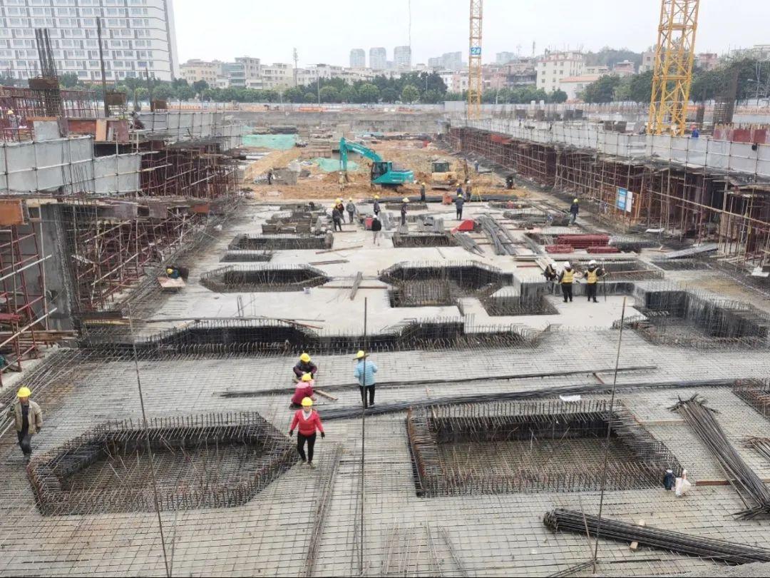 欧派最新动态,开启学习之旅,自信与成就感的源泉