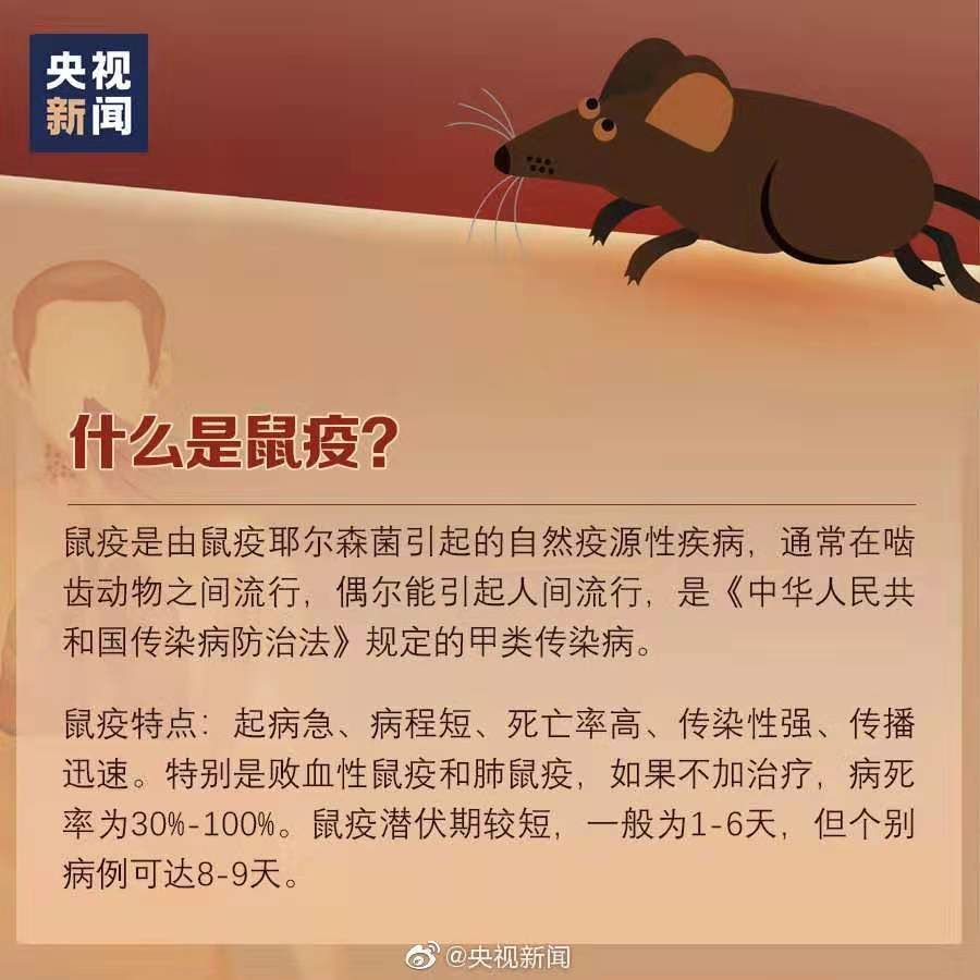 全面审视与观点阐述,鼠疫最新事态发展