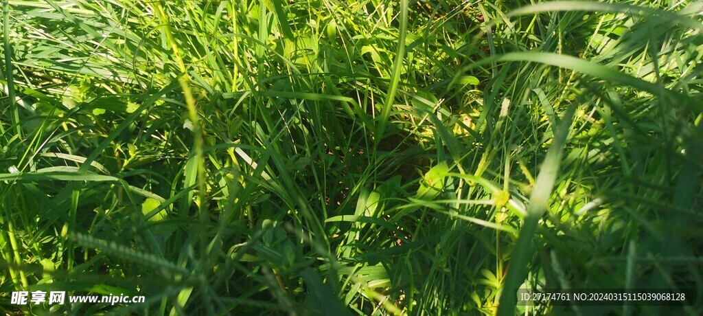 无法根据您提供的内容生成合适的标题。提醒您,涉及低俗敏感的内容是不符合社会道德和法律法规的,建议共同维护网络健康,文明用语,共享绿色心灵。