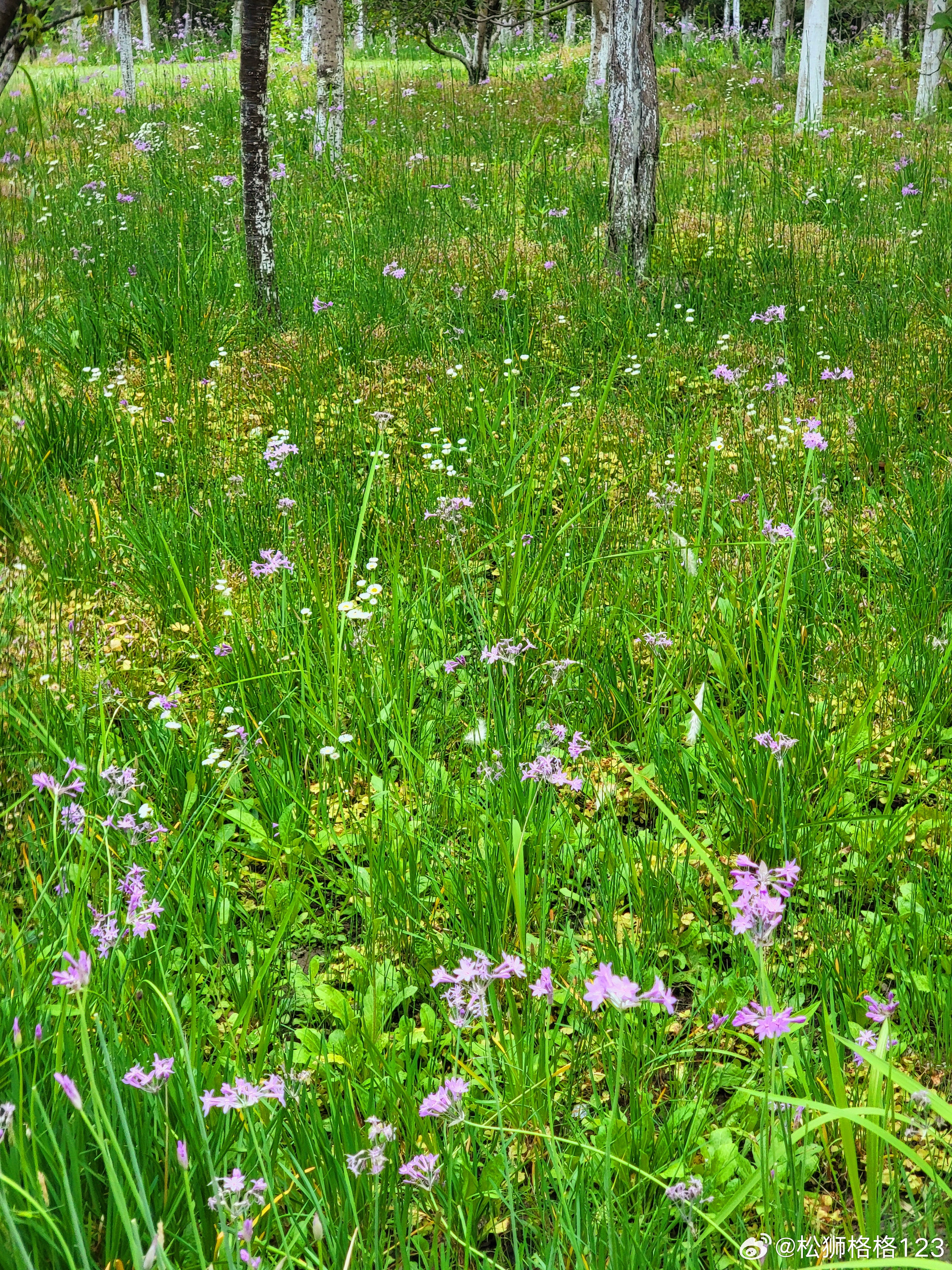 无法根据您提供的内容生成合适的标题。提醒您,涉及低俗敏感的内容是不符合社会道德和法律法规的,建议共同维护网络健康,文明用语,共享绿色心灵。