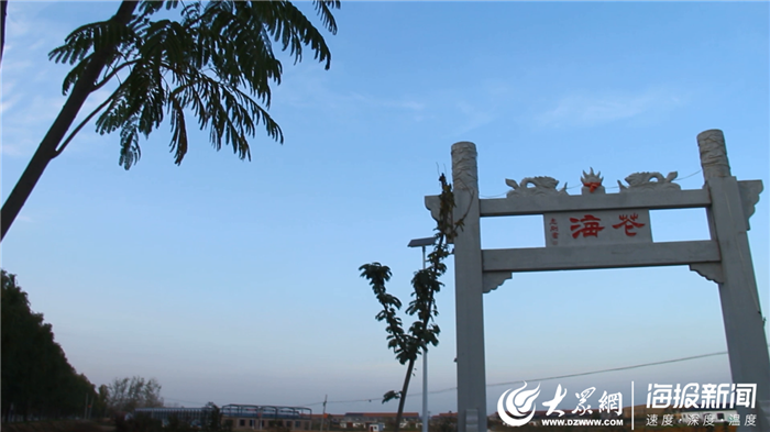 菏泽复垦最新进展,绿色希望正在绽放