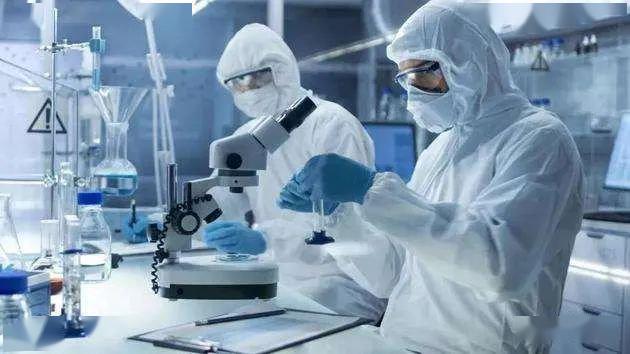 最新疫情宿主与日常奇遇