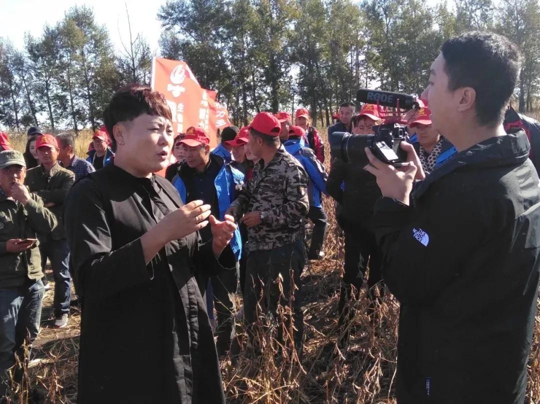 嫩江最新疫情背景下的小巷奇遇,隐藏特色小店的神秘面纱