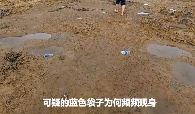 最新赶海视频,探索海洋宝藏的热门活动