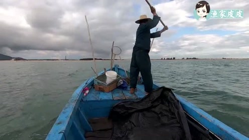 最新赶海视频,探索海洋宝藏的热门活动