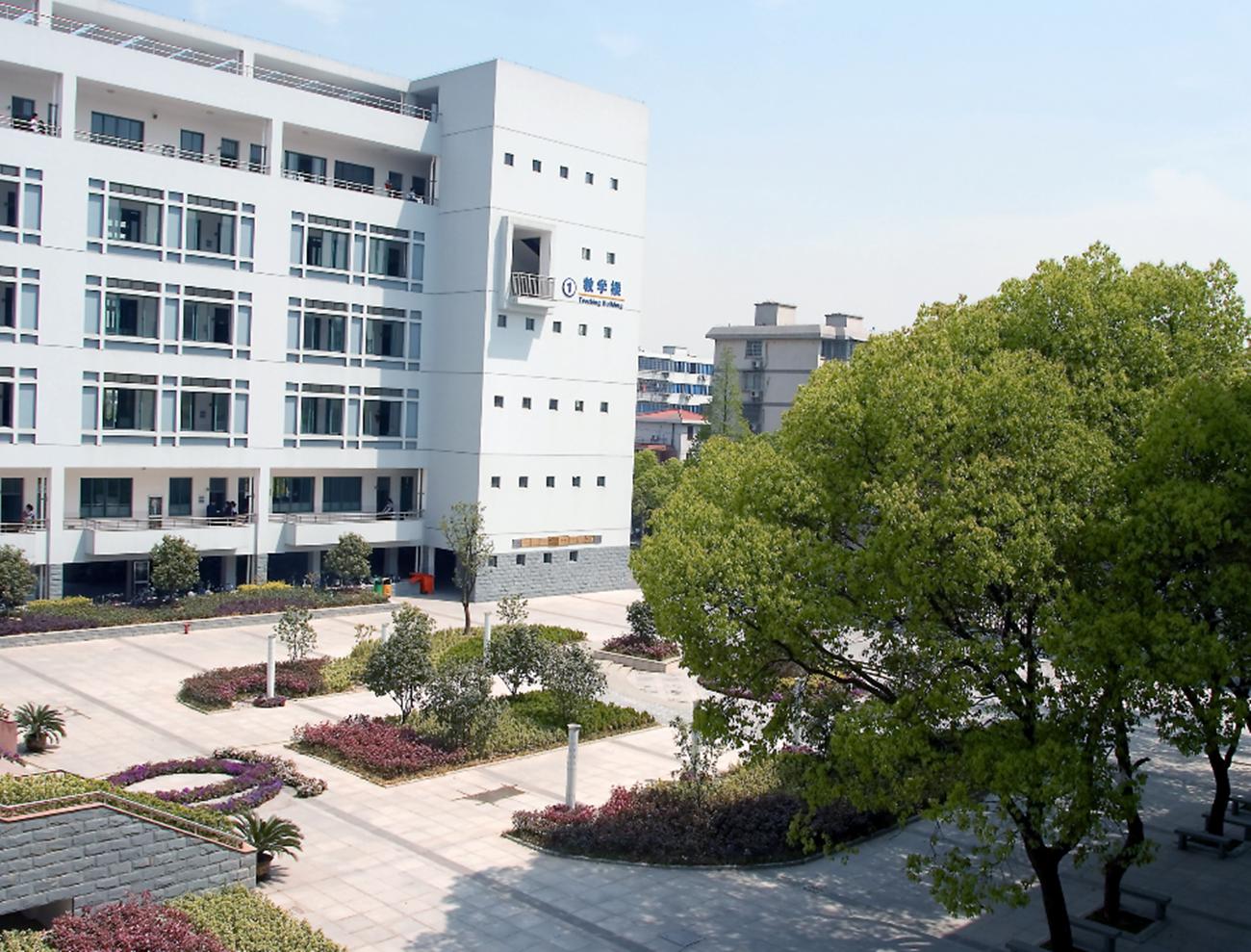 浙江最新招聘,友情的纽带与家的温馨氛围