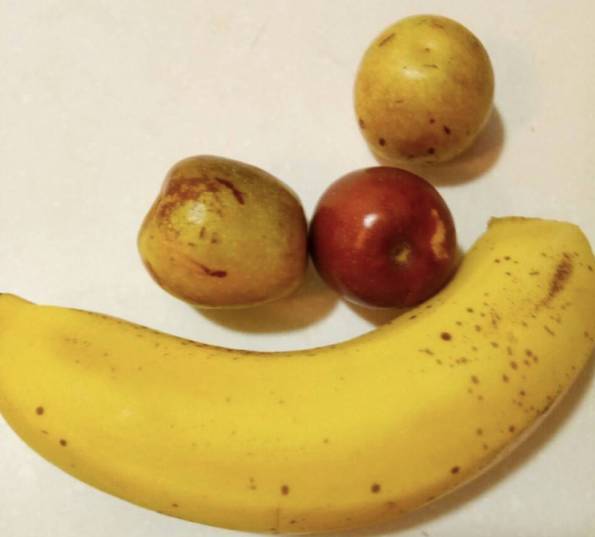 香蕉视最新,香蕉视最新，学习观看视频内容的全面指南