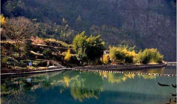 桐庐温馨抗疫日常,最新肺炎防控工作纪实