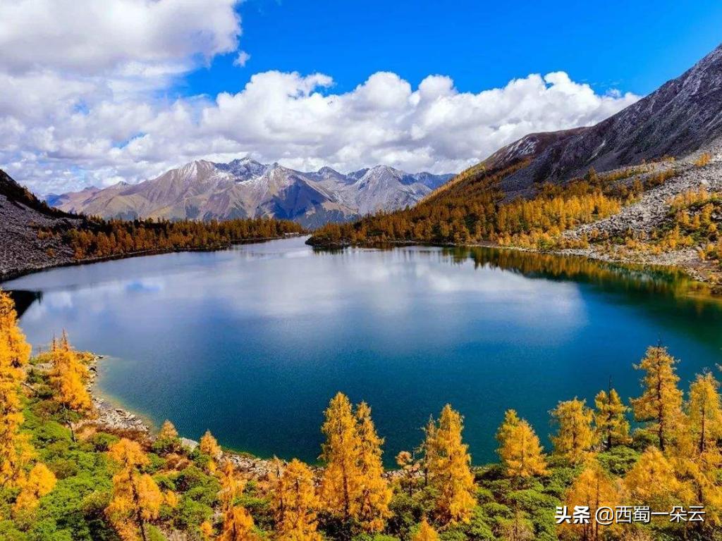 珠穆朗玛峰最新高度测定,探索巅峰与品味巷弄风情