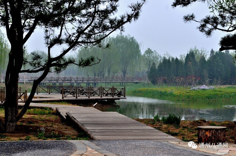 京林最新动态,揭开未来无限可能性