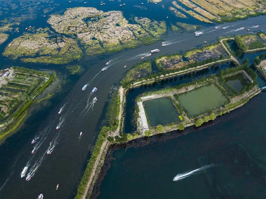 京林最新动态,揭开未来无限可能性