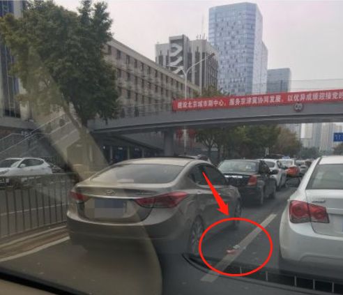 京林最新动态,揭开未来无限可能性