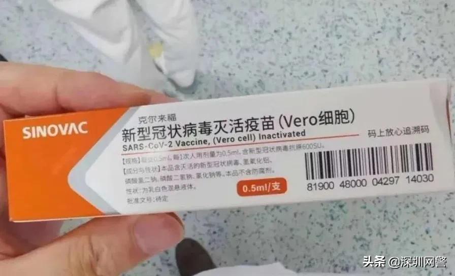 中国最新疫苗上市公司,心灵与自然的完美旅程启程