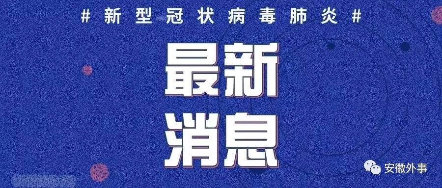 肺炎疫情最新通报报告更新，最新动态与数据概览