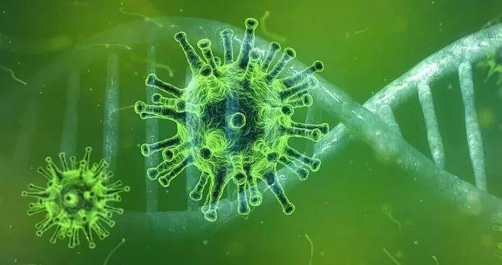 美国最新新冠肺炎病毒，观点阐述与解析