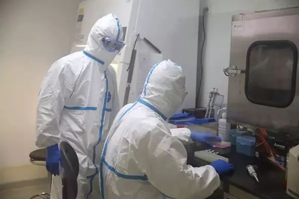 全球新性肺炎疫情最新动态，全球态势、应对策略与案例分析揭秘