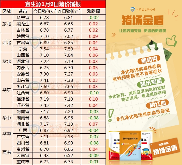 今日生猪价格更新与温馨故事分享