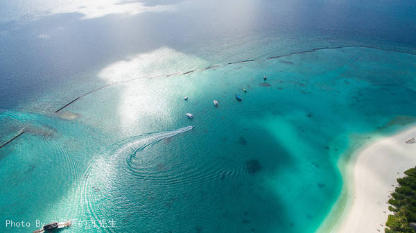 马尔代夫疫情最新数据与巷弄中的风味探索之旅