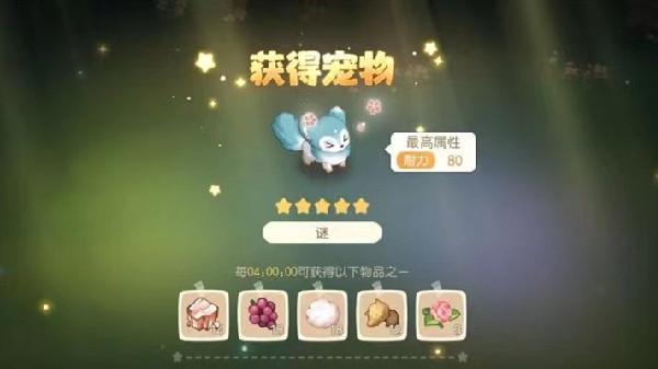 最新奥比岛宠物捕捉探险，自然美景与萌宠的邂逅之旅