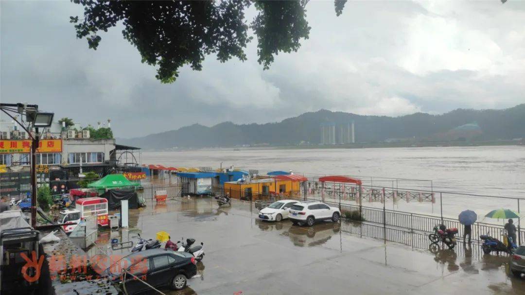 梧州洪水最新动态,洪水中的温馨漂流之旅