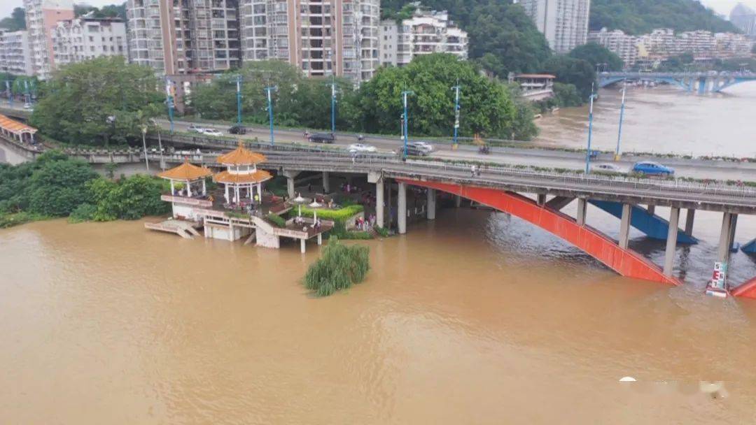梧州洪水最新动态,洪水中的温馨漂流之旅