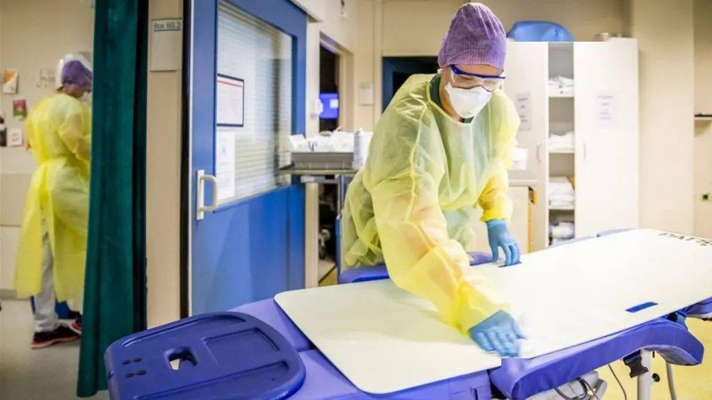 荷兰新冠肺炎最新动态,自然之旅中寻找内心宁静与平和