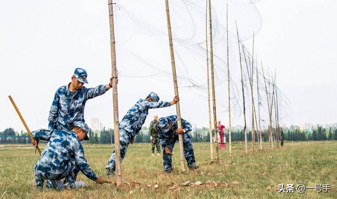 飞翔中的奇遇,最新飞机撞鸟事件与友情纽带展现
