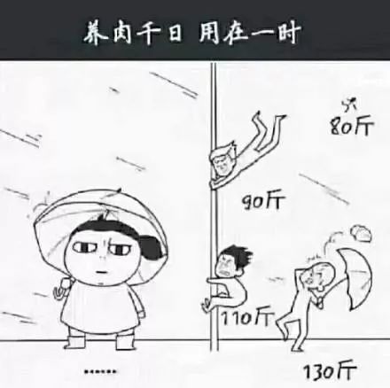 最新台风动态转变情况实时更新,台风路径与影响分析🌀🌹