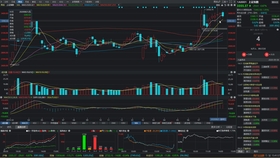 每日股票,股市风云的波澜壮阔之旅