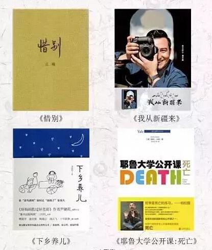 近期阅读精选,心灵与自然的邂逅,美景之旅的启示