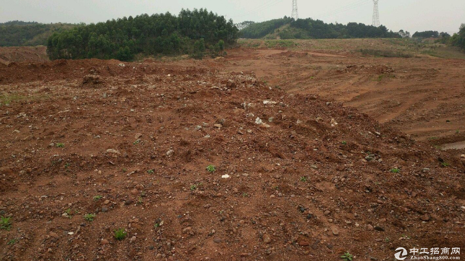 最新邵阳土地出售流程及步骤指南