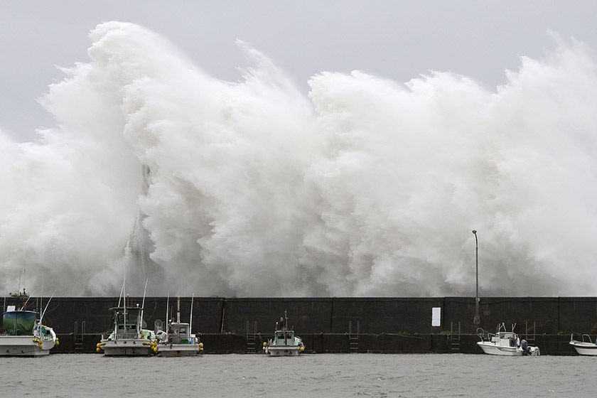 日本台风奥鹿最新动态,风雨中的温馨日常