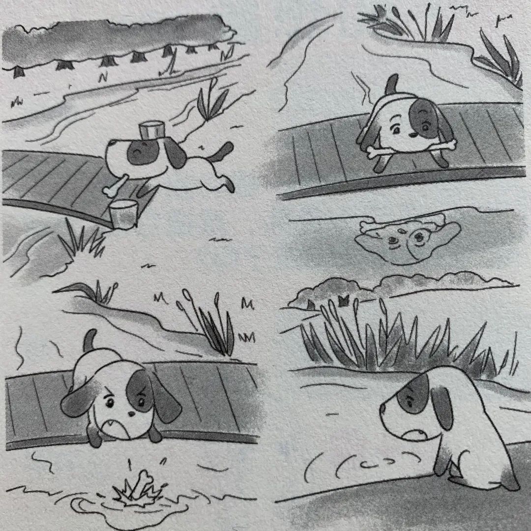 跑步比赛的精彩瞬间,赛场上的速度与激情