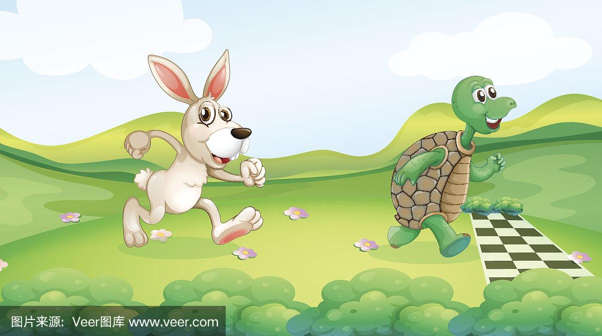 小免子和乌龟的比赛,自然美景探索之旅