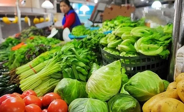 下半年蔬菜行情展望,详细步骤指南与分析预测