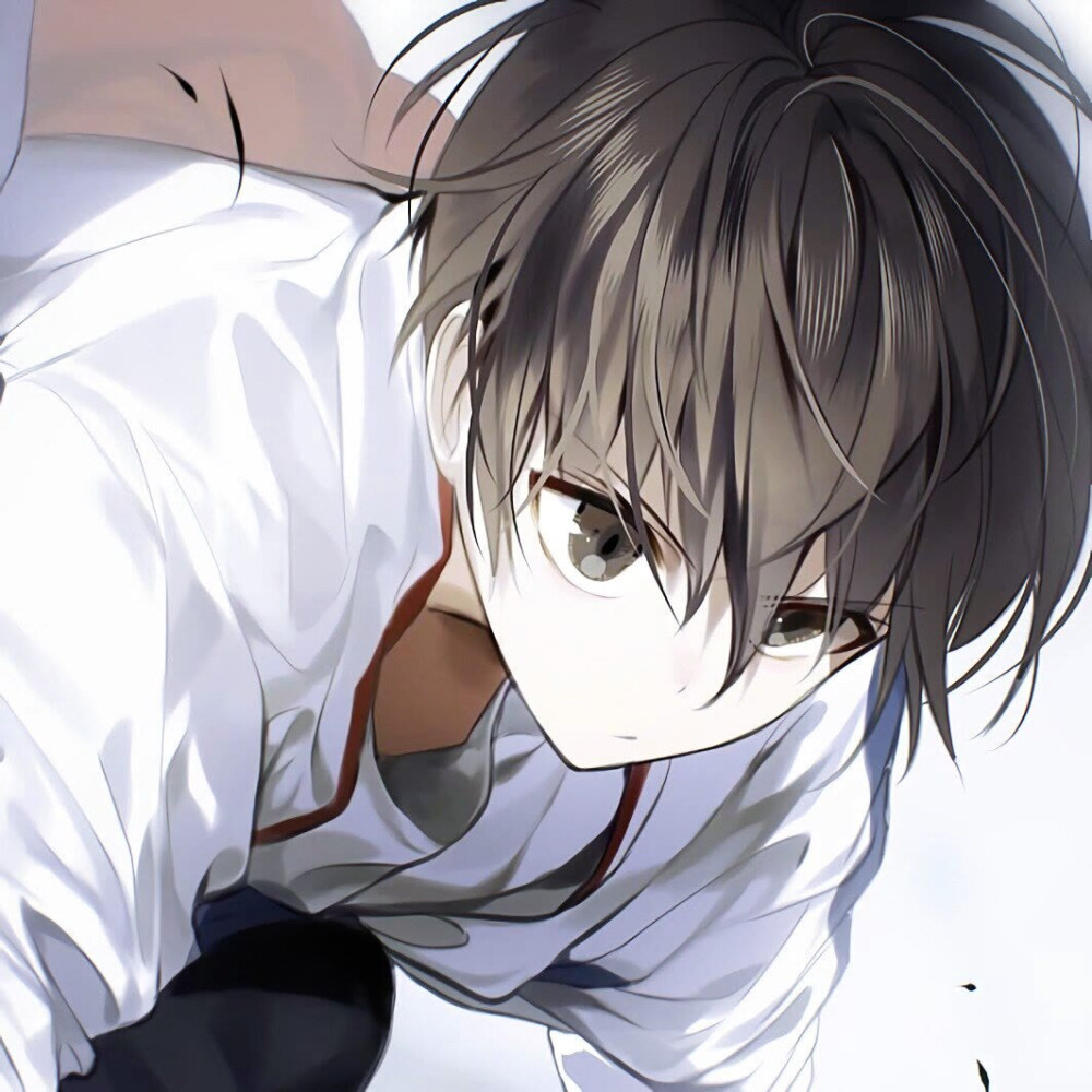 动漫男生世界,巷弄中的隐秘乐园与男生角色风采展示