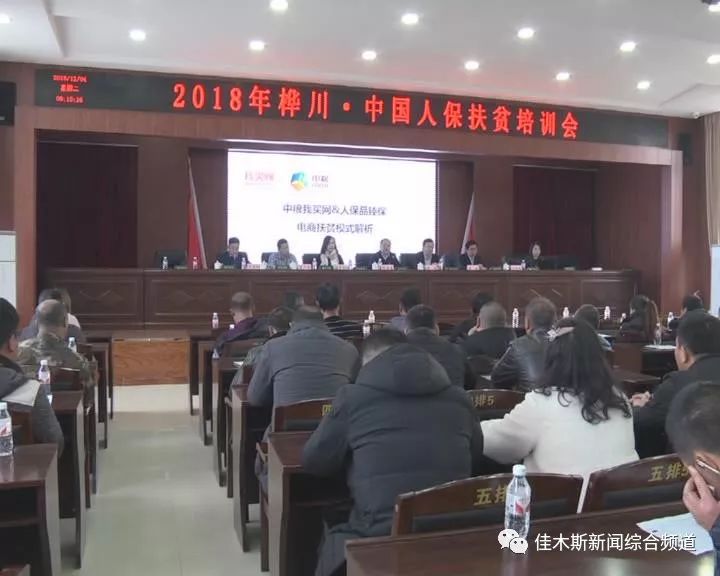 七台河新鲜资讯,温馨日常趣事概览