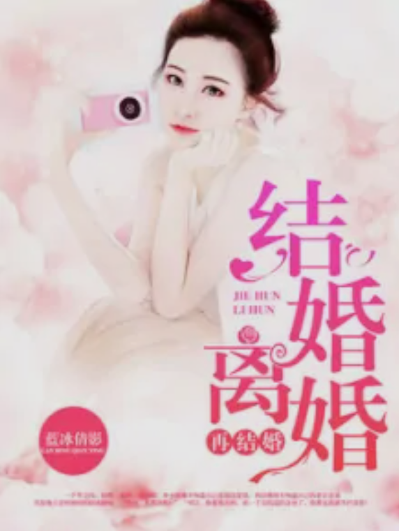 再婚情感小说最新章节，情感的再燃与困境挑战