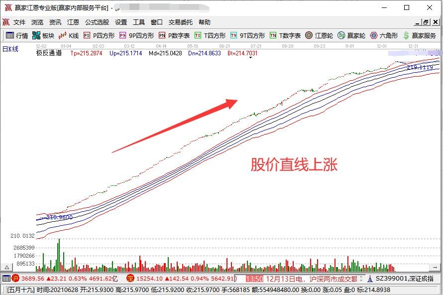 公司股票详解,概念、重要性及科普解读