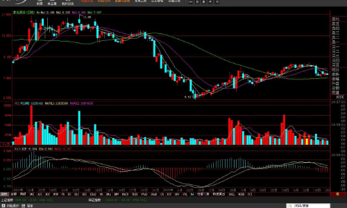 公司股票详解,概念、重要性及科普解读