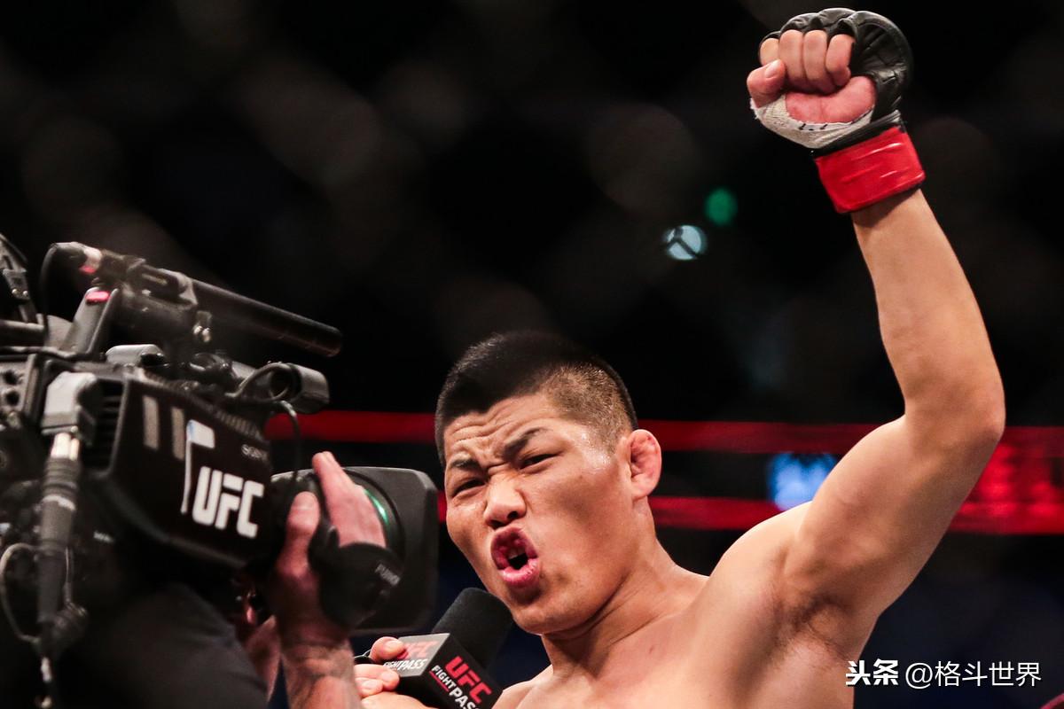 铁英华最新比赛,掀起格斗狂潮的巅峰对决之夜