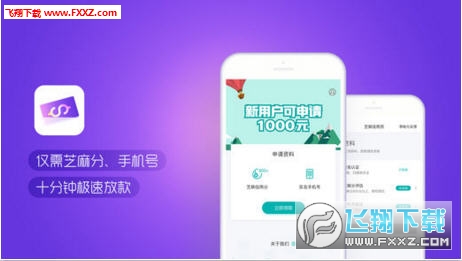 最新芝麻贷款，金融科技的便捷之力解读