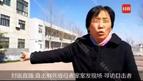 山东母亲被侮辱事件最新进展,自然美景中的心灵反思之旅