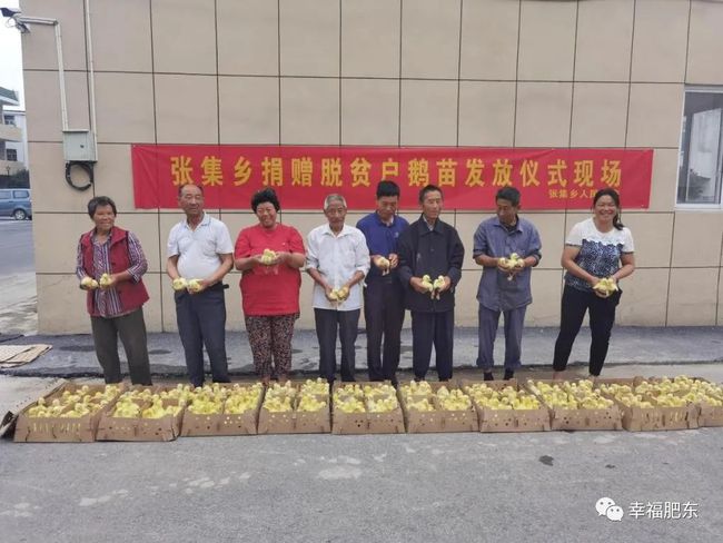 元疃镇最新资讯大全,获取指南与实时更新