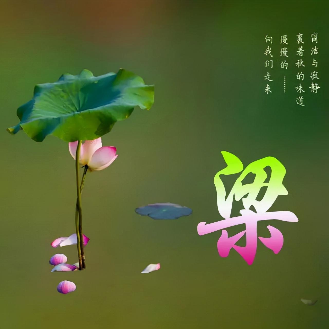 时代变迁下的网络身份印记，最新热门微信昵称汇总