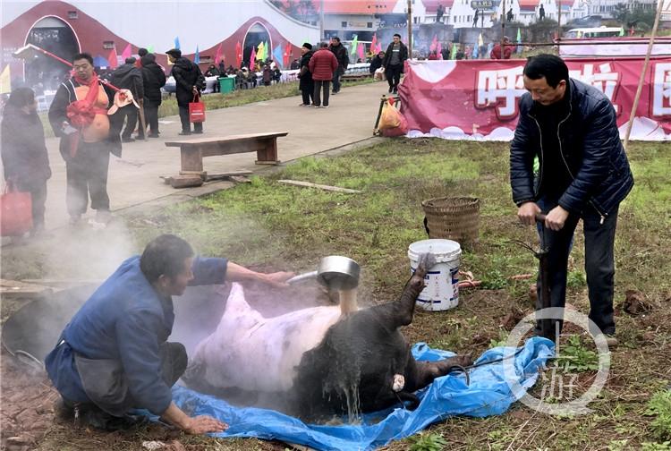 汤街小镇最新报价揭秘，探寻理想居住的新价值